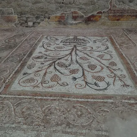 Guestrooms Struma Dolinata